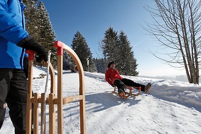 Vakantieappartement Gezinsvakantie Lenzkirch