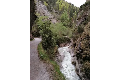 Appartamento Vacanza con famiglia Wildschönau