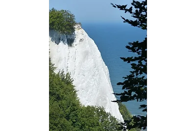 Villa Rosengarten - Ferienwohnung