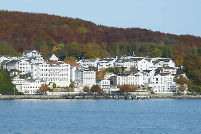 Villa Rosengarten - Ferienwohnung