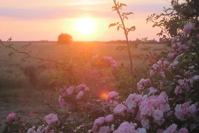 Casa vacanze Vacanza di relax Fehmarn