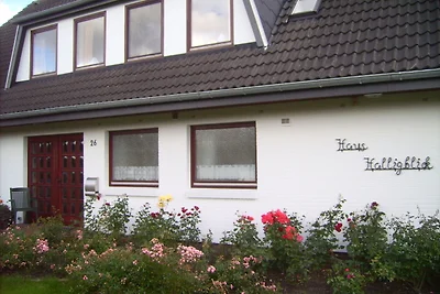 Vakantieappartement Gezinsvakantie Dagebüll