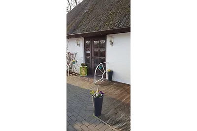 Casa vacanze Vacanza di relax Westerdeichstrich
