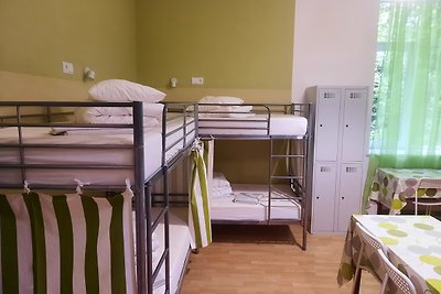 Bed in 10-Bed Male Dormitory Room