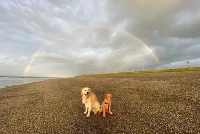 Nr. 90 Neues, ruhiges Ferienhaus