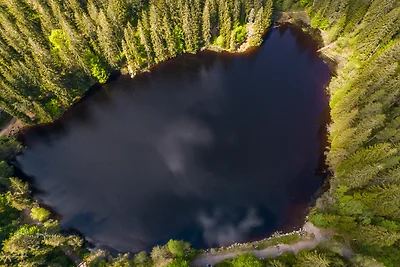 Vakantieappartement Gezinsvakantie Schluchsee