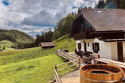 Vakantiehuis Ontspannende vakantie Traunkirchen