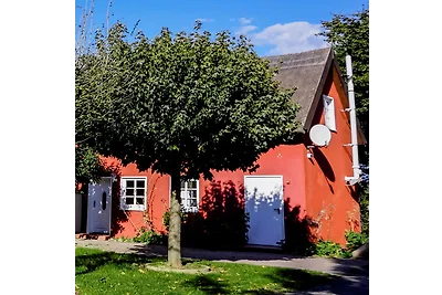 Vakantiehuis Ontspannende vakantie Rankwitz