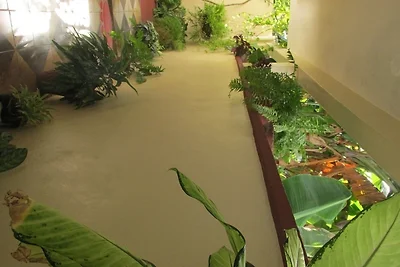RESIDENCIA MACHADO Appartement 1