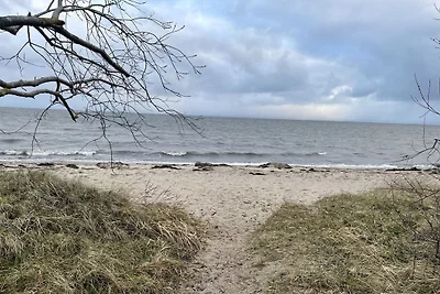 Strandperle 1