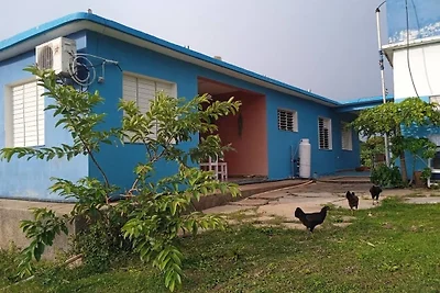 Finca El Horizonte - Pedro y Yamila