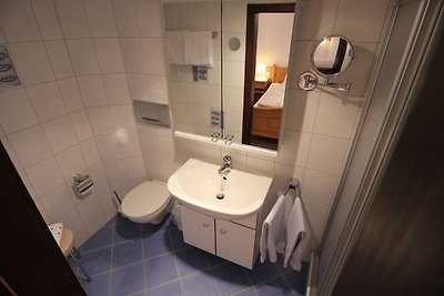 Vakantieappartement Gezinsvakantie Gutach