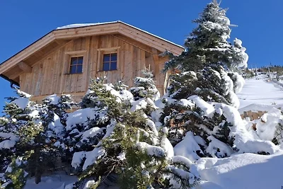 Chalet Katschberg Panorama