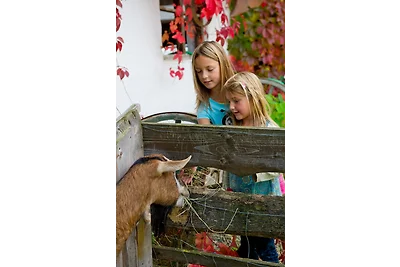 Vakantieappartement Gezinsvakantie Burggen