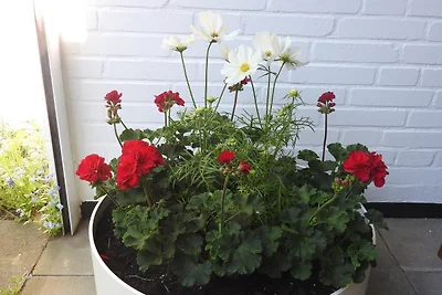 Hohes Ufer 20 Ostseeluft