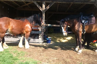 Ferienhof Heidemann (auch 2