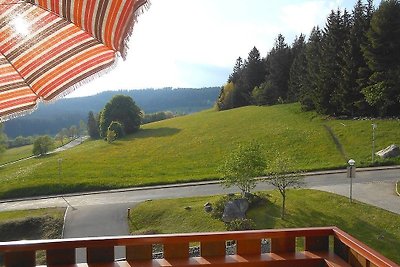 Vakantieappartement Gezinsvakantie Schluchsee