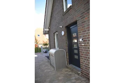Lachmöwe, Haus an den Salzwiesen