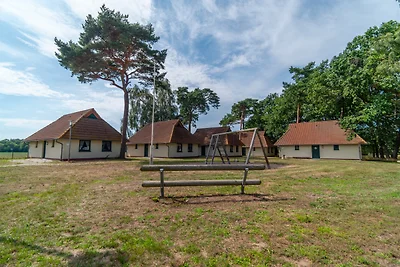 Schwalbennest 6