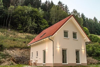 Frankenwald Chalets - Haus Hans