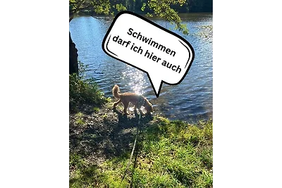 Tiny House - Auszeit im Wald am