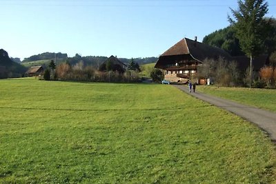 Vakantiehuis Ontspannende vakantie Steinach