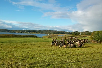 Villa Carina "Carina's 902"