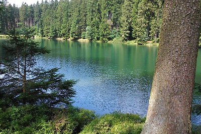 Vakantieappartement Gezinsvakantie Hahnenklee