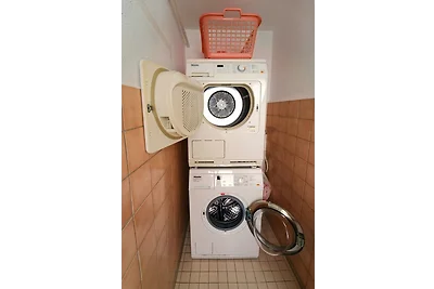 Gelbe Katze - ABC600 - nur