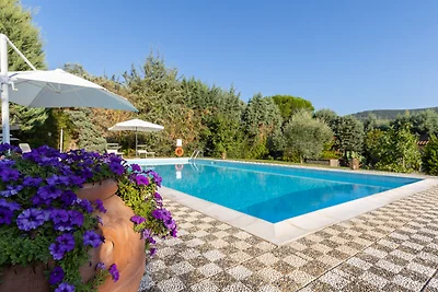 Villa Mimosa