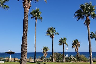 BERMUDA BEACH 5