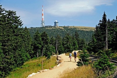 Harz Fewo Eulennestchen S.1