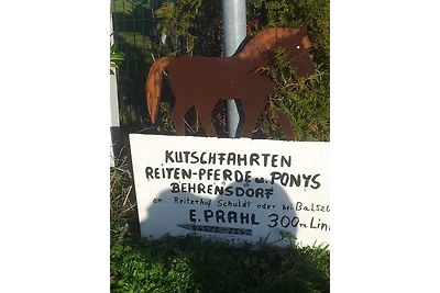 Ferienwohnung Strandgut