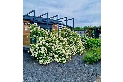 Vakantiehuis Ontspannende vakantie Bedburg-Hau