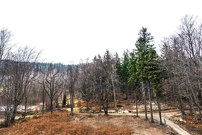 Vakantieappartement Gezinsvakantie Szklarska Poreba