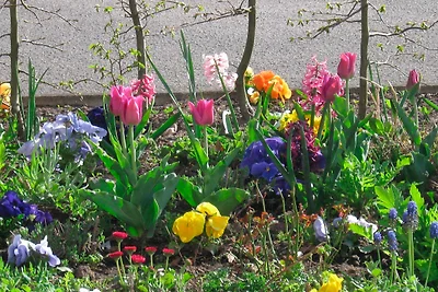 "Das kleine Strandglück"