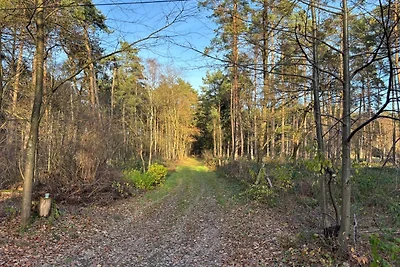 Smart Home Mitten im Wald /