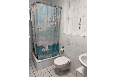 Lachmöwe