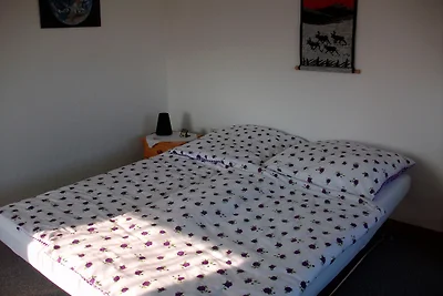 Haus Flicka