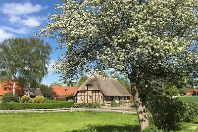 Haus Ruhe unter Reet