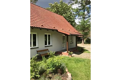 Domek letniskowy Urlop wypoczynkowy Rheinsberg