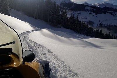 Romantische Almhütte in Alleinlage