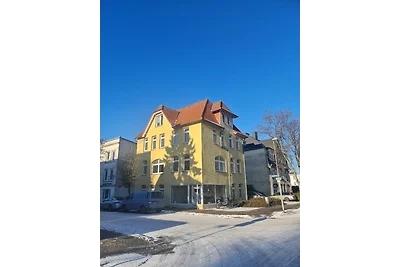 Löwe (1-6 Personen)