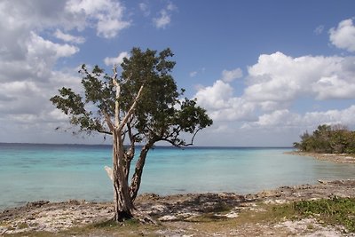 Vakantieappartement Gezinsvakantie Matanzas