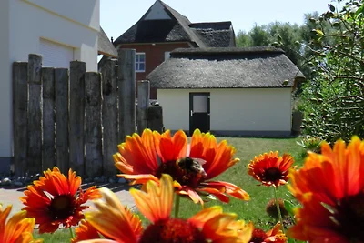 Reethaus Strandgut - geräumiges