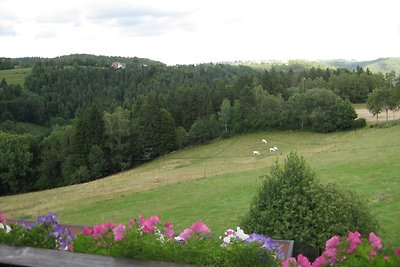 Vakantieappartement Gezinsvakantie Dachsberg