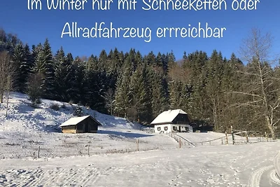 Vakantiehuis Ontspannende vakantie Traunkirchen