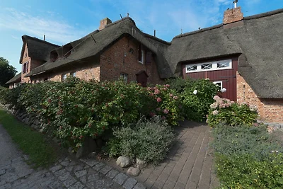Vakantieappartement Gezinsvakantie Wrixum