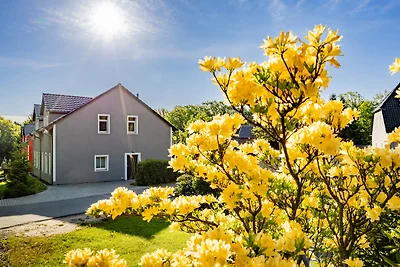 Ferienhaus Bimmelbahn 2 -