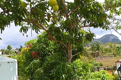 Appartamento Vacanza con famiglia Pinar del Rio